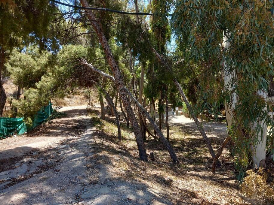 Acogedor Bungalow Adosado El Campello Luaran gambar